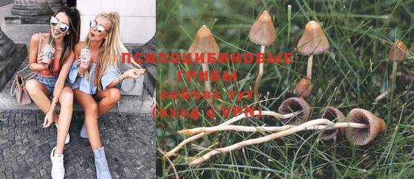 ешки Заволжск