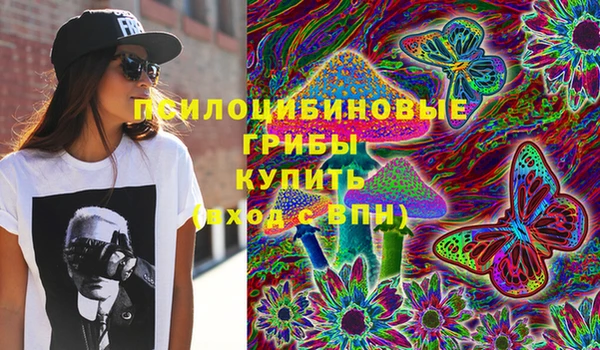 прущие крисы Заводоуковск