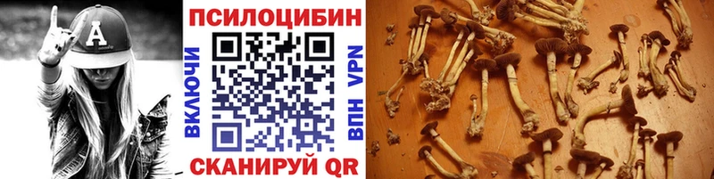 Купить  Новая Ладога  Псилоцибиновые грибы мухоморы 